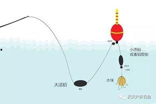 爆料鲢鳙钓法视频教程,视频教程深度解析 第3张 爆料鲢鳙钓法视频教程,视频教程深度解析 第3张