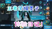 王者体验服新枪爆料视频,神秘武器震撼来袭，揭秘全新游戏玩法