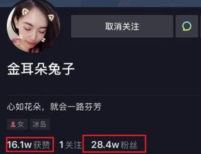 圈内人爆料娱乐圈的小说,娱乐圈幕后风云录