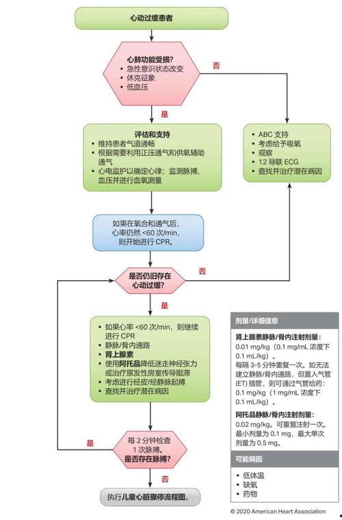 保险理赔爆料流程视频教程,轻松掌握理赔流程