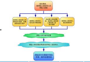 保险理赔爆料流程视频教程,轻松掌握理赔流程 第2张 保险理赔爆料流程视频教程,轻松掌握理赔流程 第2张