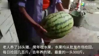 吃瓜视频完整版免费观看,免费畅享热门内容