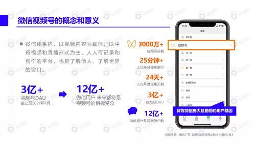 薯片大哥爆料视频下载安装,视频下载安装全过程深度解析 第3张 薯片大哥爆料视频下载安装,视频下载安装全过程深度解析 第3张