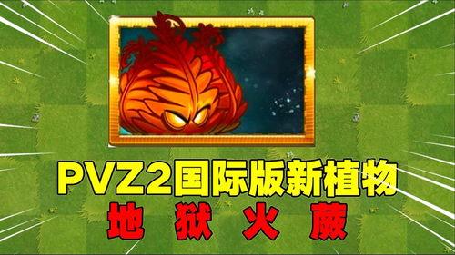 爆料地狱火蕨最新视频,揭秘植物界的奇异现象  第3张