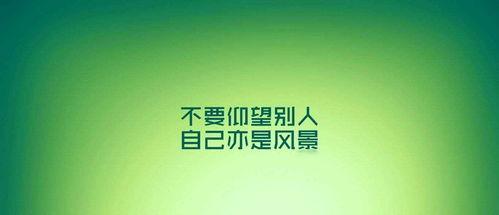 励志新闻爆料大全最新,励志新闻爆料大全最新力作 第2张 励志新闻爆料大全最新,励志新闻爆料大全最新力作 第2张