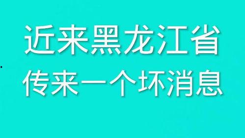 最新黑龙江爆料消息,揭秘神秘事件背后的真相 第1张 最新黑龙江爆料消息,揭秘神秘事件背后的真相 第1张